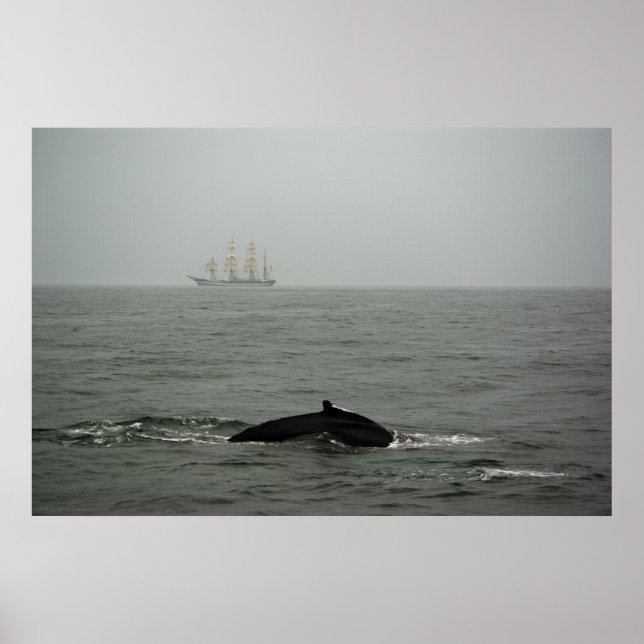 Humpback Whale and Tall Ship Print (Front)