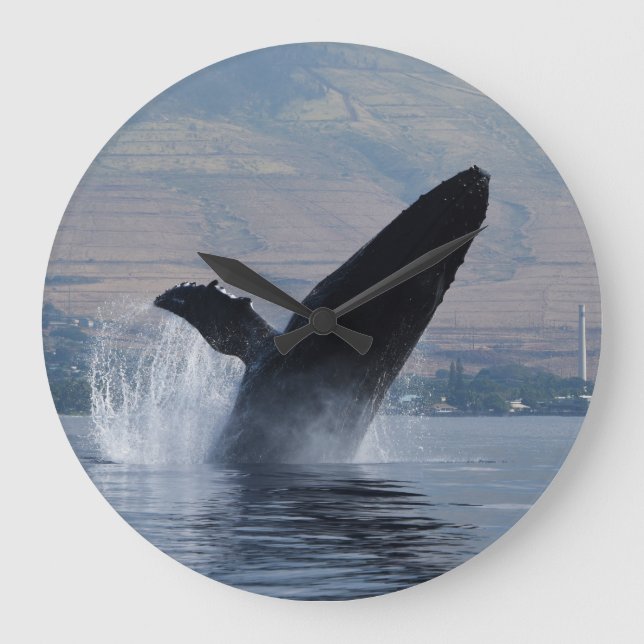 humpback whale breaching large clock (Front)