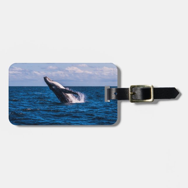 Humpback Whale Breaching Luggage Tag (Front Horizontal)