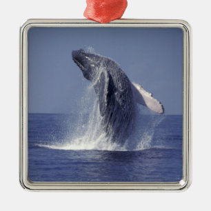 Humpback whale breaching (Megaptera Metal Tree Decoration
