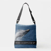 Humpback Whale Breaching Near Maui