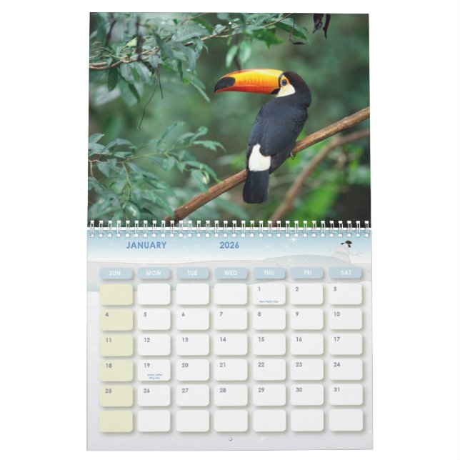 Humpback Whale, Calender 20010 Calendar (Jan 2026)