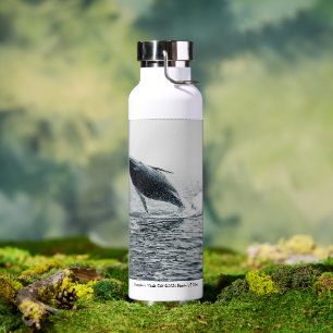 Humpback Whale Calf Water Bottle