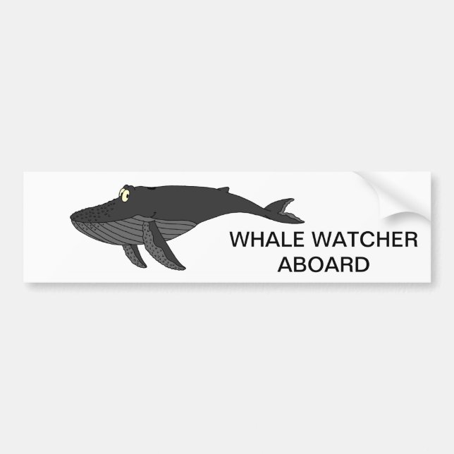 Humpback Whale Cartoon Bumper Sticker (Front)