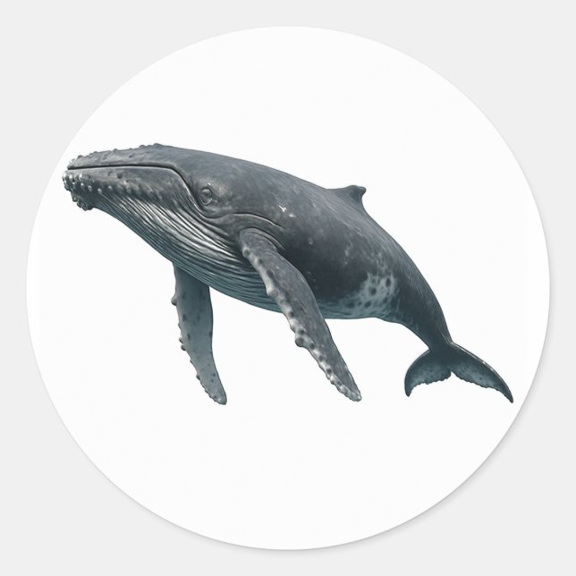 Humpback Whale Classic Round Sticker (Front)