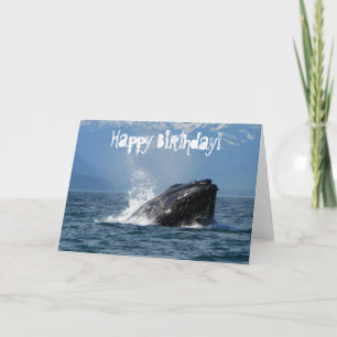 Humpback Whale Feeding Card