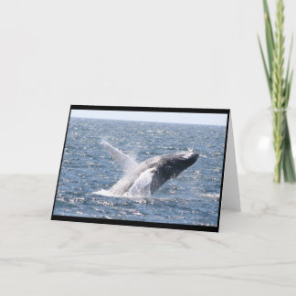 Humpback Whale I Card