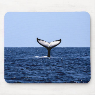 Humpback Whale in Ocean Mouse Pad