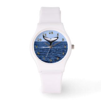 Humpback Whale in Ocean Watch