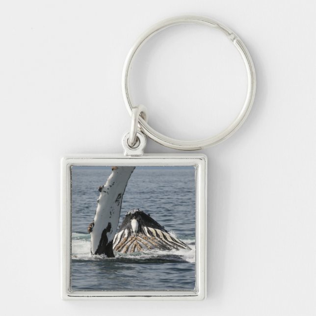 Humpback Whale Key Ring (Front)