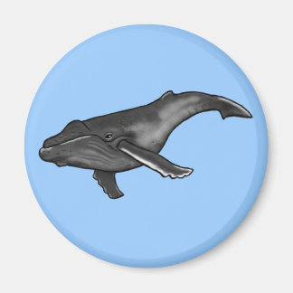 humpback whale magnet
