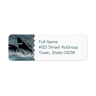 Humpback Whale Mailing Label