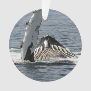 Humpback Whale Ornament