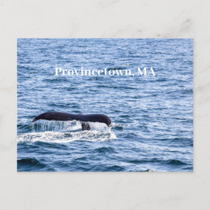Humpback whale Postcard