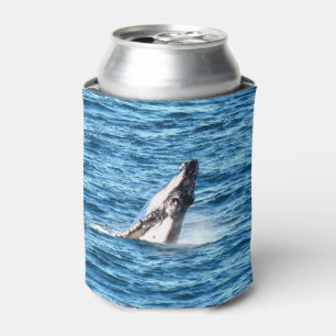 HUMPBACK WHALE QUEENSLAND AUSTRALIA CAN COOLER