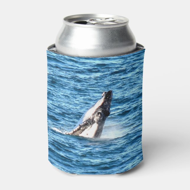 HUMPBACK WHALE QUEENSLAND AUSTRALIA CAN COOLER (Can Front)