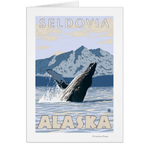 Humpback Whale - Seldovia, Alaska