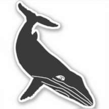 HUMPBACK WHALE SKETCH