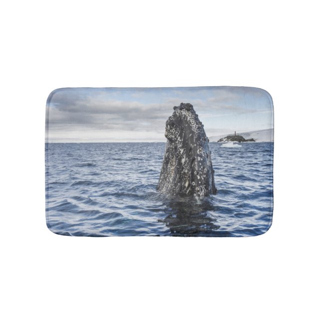 Humpback Whale Spyhops | Hope Bay, Antarctica Bath Mat (Front)
