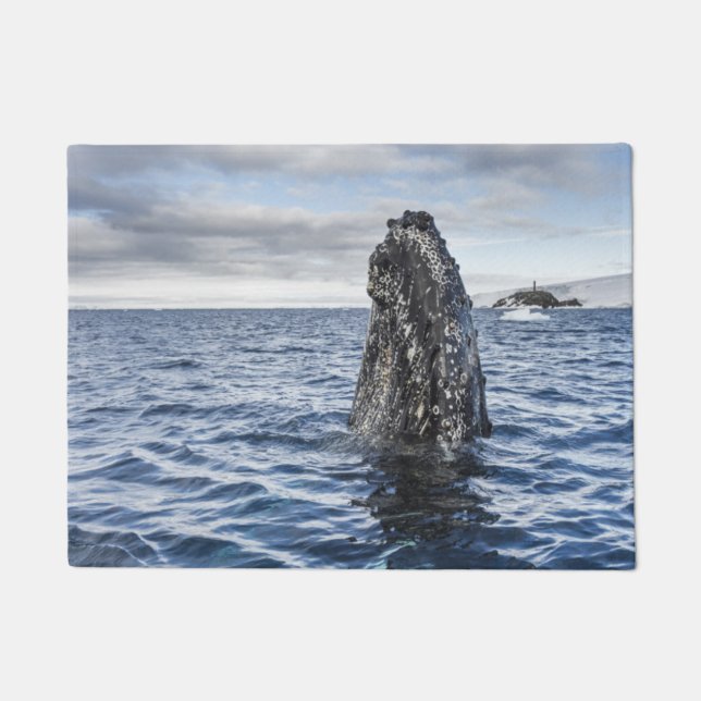 Humpback Whale Spyhops | Hope Bay, Antarctica Doormat (Front)