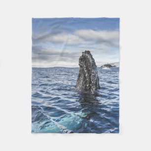 Humpback Whale Spyhops   Hope Bay, Antarctica Fleece Blanket