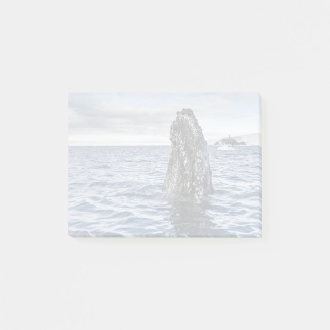Humpback Whale Spyhops | Hope Bay, Antarctica Post-it Notes (Front)