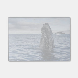 Humpback Whale Spyhops   Hope Bay, Antarctica Post-it Notes