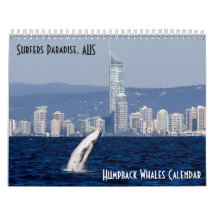 Humpback Whale Surfers Paradise Pacific Ocean