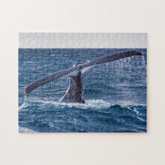 Humpback Whale Tail Fluke Off Surfers Paradise Jigsaw Puzzle (Horizontal)