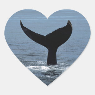 Humpback whale tail heart sticker