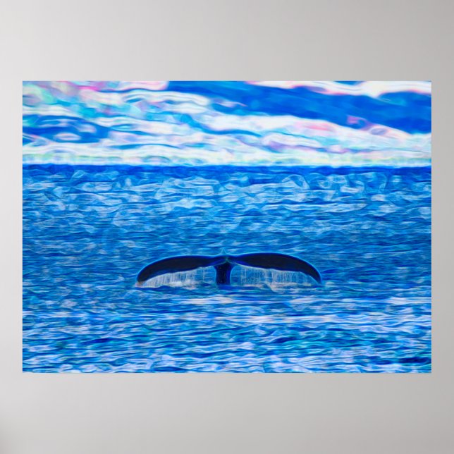 Humpback Whale Tail off the Coast of Maui Hawaii Poster (Front)