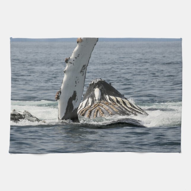 Humpback Whale Tea Towel (Horizontal)