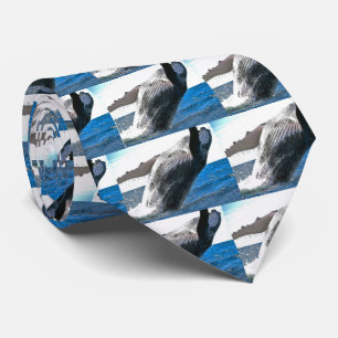 humpback whale tie