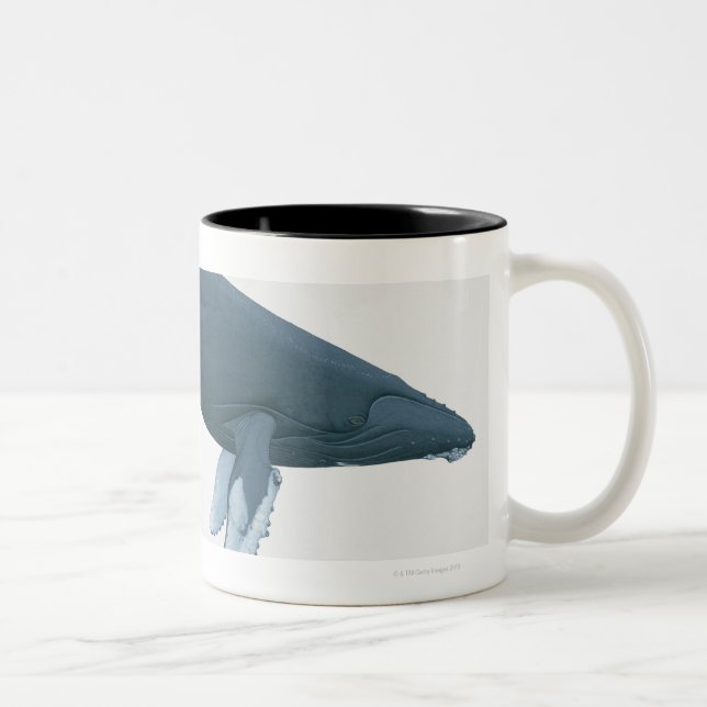 Humpback Whale Two-Tone Coffee Mug (Right)