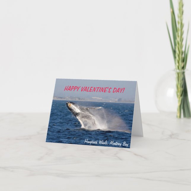 Humpback Whale Valentine's Day Card (Front)