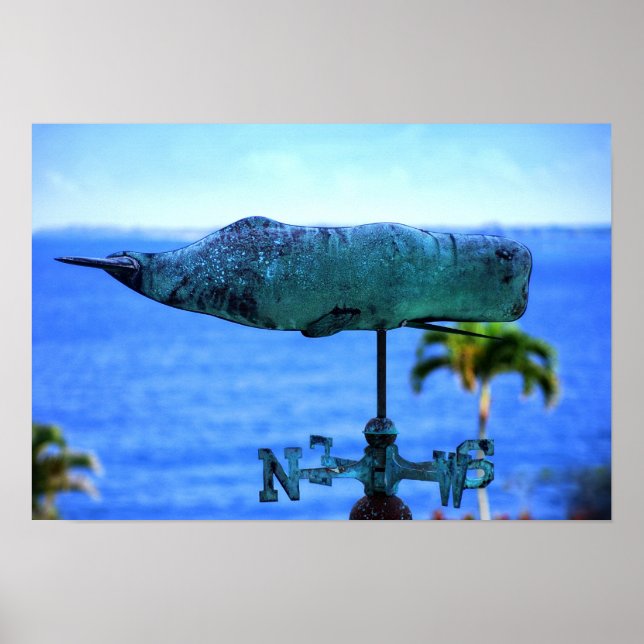 Humpback Whale Weather Vane Poster (Front)