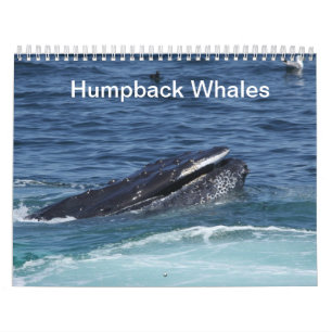 Humpback Whales calendar 2014