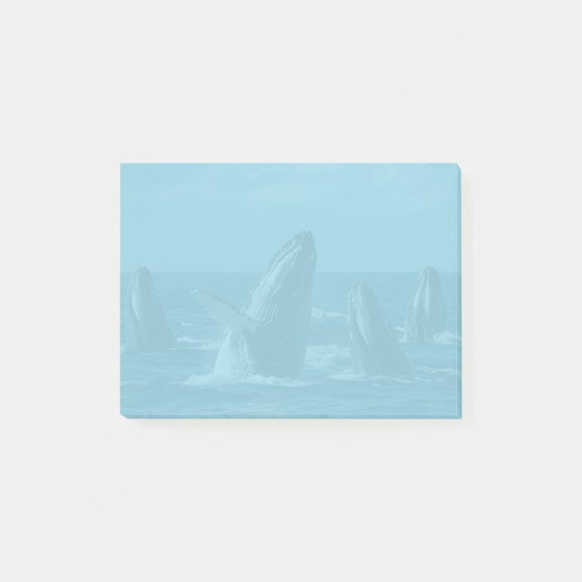 Humpback Whales Post-it Notes (Front)
