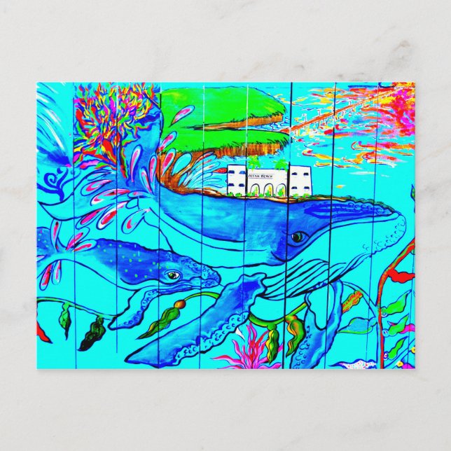 humpback whales postcard (Front)