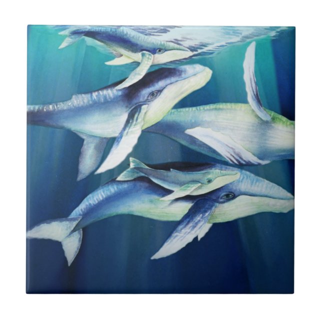 Humpback Whales Tile (Front)