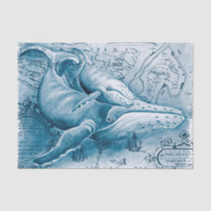 Humpbacks Blue Vintage Map Tissue Paper
