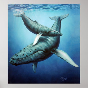 Humpbacks 'Serenity' Mother & Calf -Canvas print