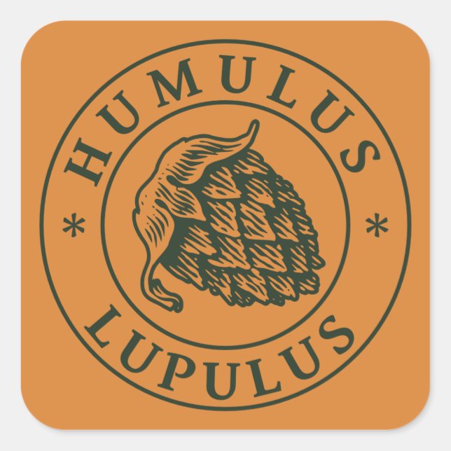 Humulus lupulus sticker square (Front)