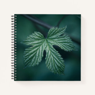 Humulus Nature Photo Notebook