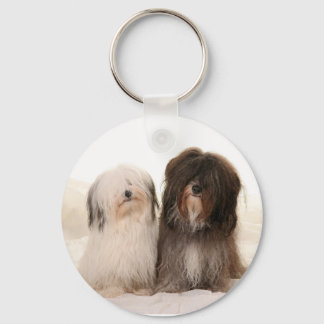Hunde Key Ring