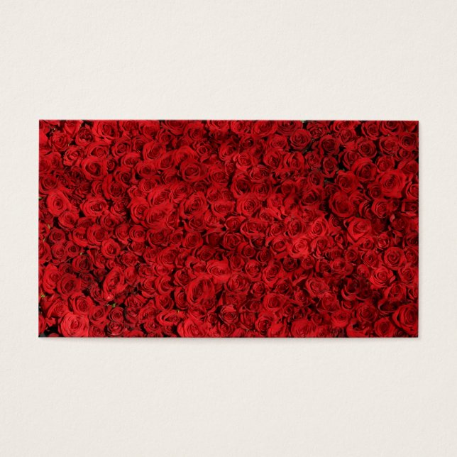 Hundreds of Beautiful Red Roses (Front)