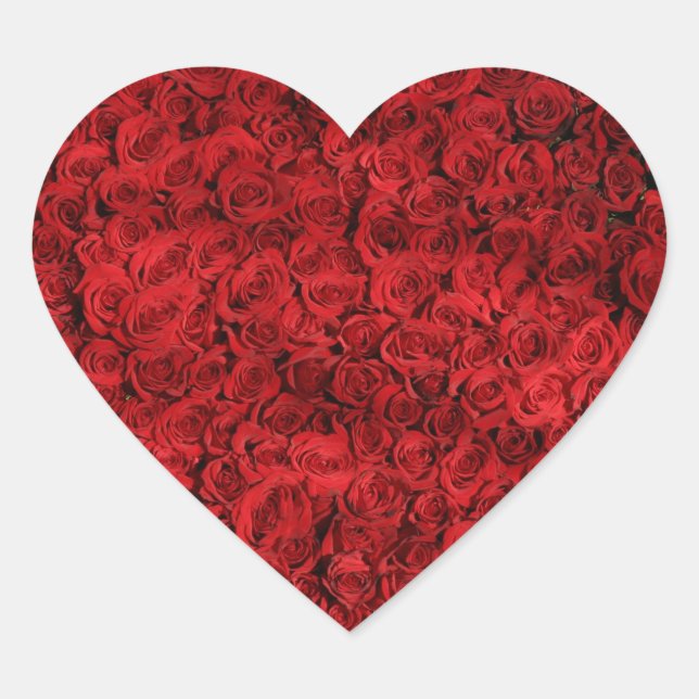 Hundreds of Beautiful Red Roses Heart Sticker (Front)
