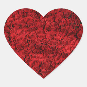 Hundreds of Beautiful Red Roses Heart Sticker