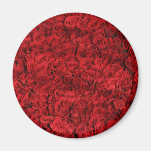 Hundreds of Beautiful Red Roses Magnet