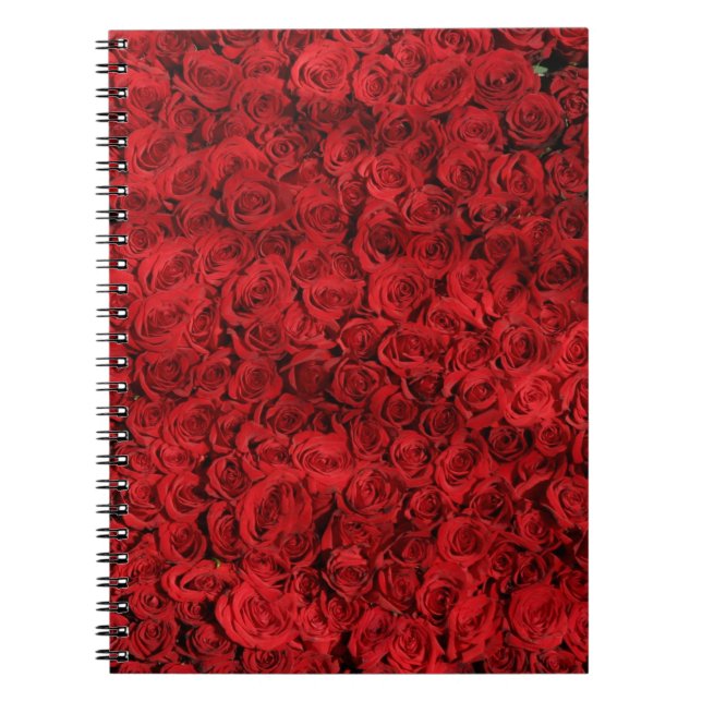 Hundreds of Beautiful Red Roses Spiral Notebook (Front)